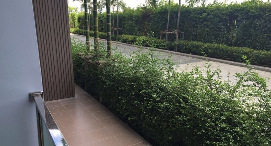 Condo en alquiler de 1 habitaciones en Bang Lamung, Chonburi