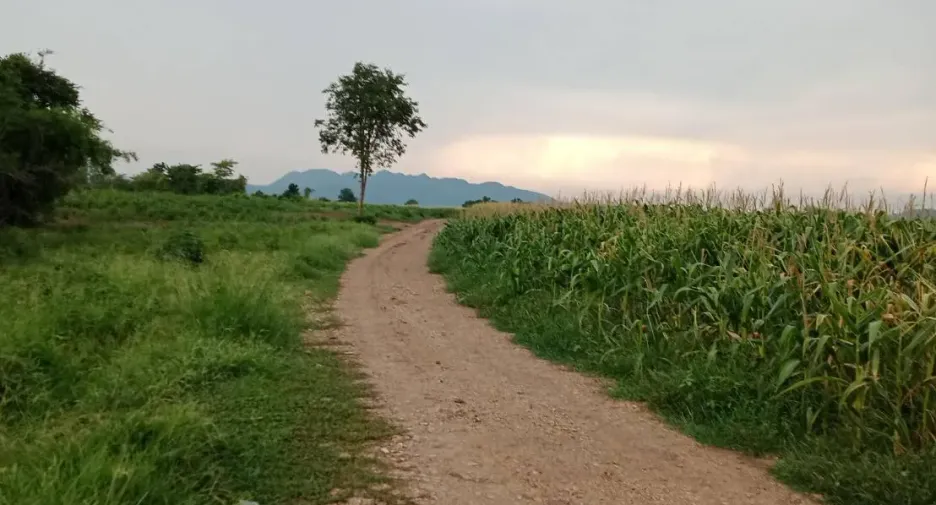 ขาย ที่ดิน ใน แก่งคอย, สระบุรี