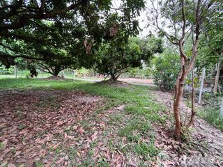 For sale land in Hang Dong, Chiang Mai