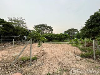 For sale land in Hang Dong, Chiang Mai