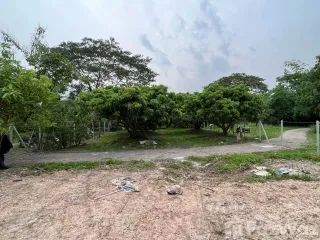 For sale land in Hang Dong, Chiang Mai