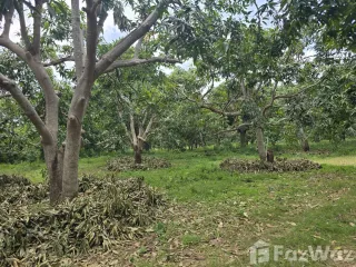 Terreno en venta en Sam Roi Yot, Prachuap Khiri Khan