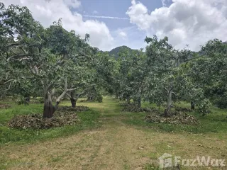 Terreno en venta en Sam Roi Yot, Prachuap Khiri Khan