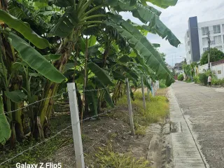 For sale land in Lak Si, Bangkok
