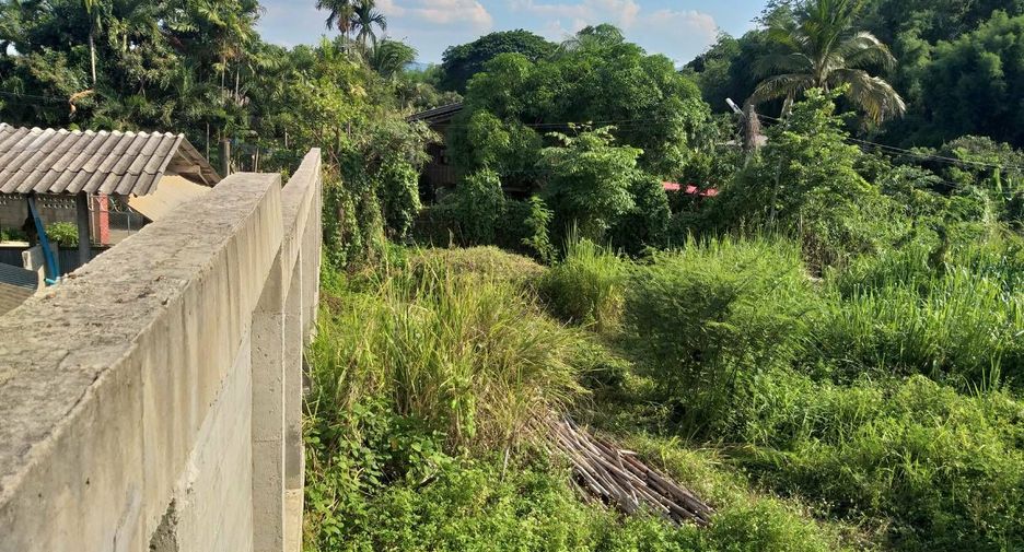 For sale land in Mae Rim, Chiang Mai