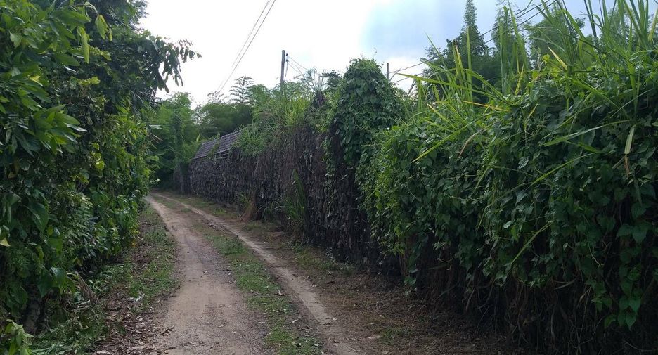 Grundstück zum Kauf in Mae Rim, Chiang Mai