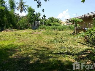 Terreno en venta en Mae Rim, Chiang Mai