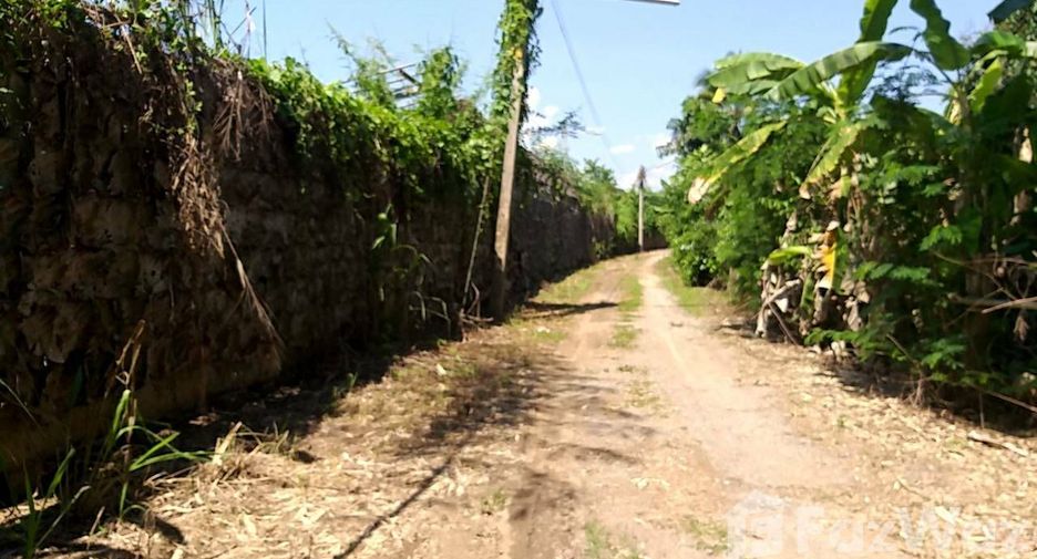 Grundstück zum Kauf in Mae Rim, Chiang Mai