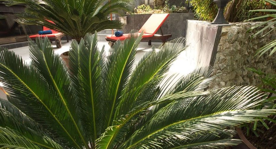 For rent 4 bedrooms villa in Kathu, Phuket