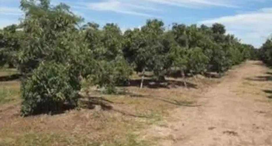 For sale land in San Pa Tong, Chiang Mai