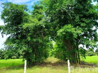 Terreno en venta en Mueang Udon Thani, Udon Thani
