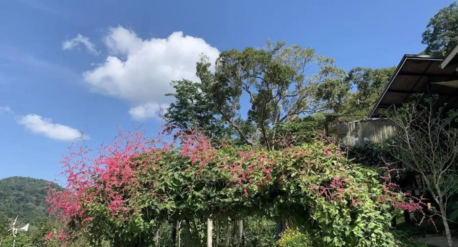 For rent 1 bed house in Thalang, Phuket