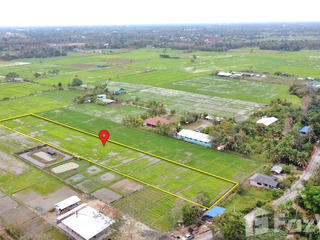 For sale land in San Kamphaeng, Chiang Mai