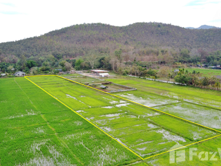 For sale land in San Kamphaeng, Chiang Mai