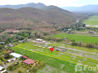 For sale land in San Kamphaeng, Chiang Mai