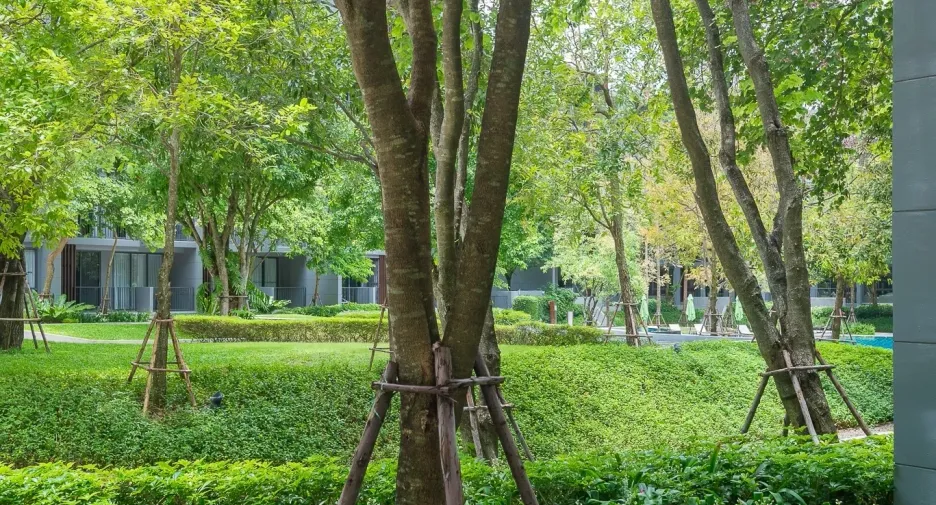 For sale 1 bed condo in Pak Chong, Nakhon Ratchasima