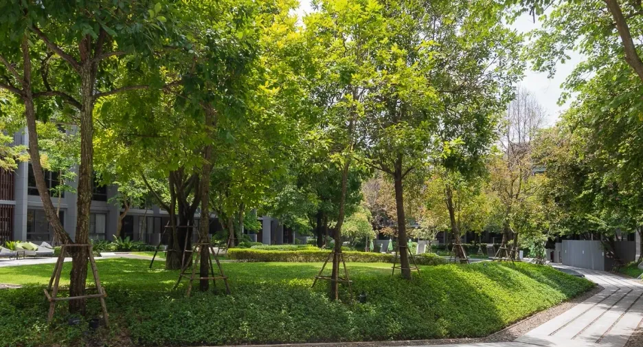 For sale 1 bed condo in Pak Chong, Nakhon Ratchasima