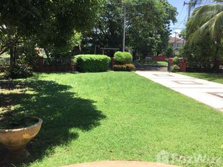 For sale and for rent 4 bedrooms house in San Sai, Chiang Mai
