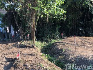 Terreno en venta en Mae Rim, Chiang Mai