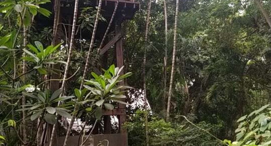 Продажа Участок в Mueang Chiang Mai, Чианг Маи