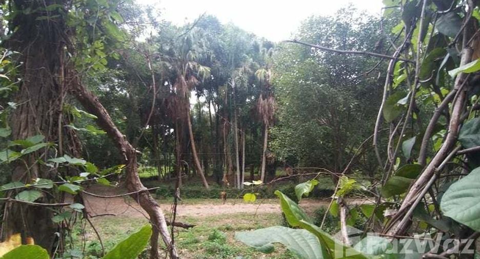 Продажа Участок в Mueang Chiang Mai, Чианг Маи