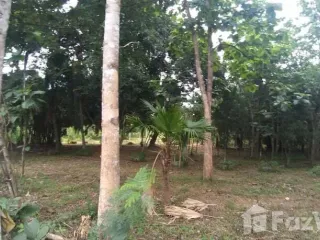 出售 土地 在 Mueang Chiang Mai, Chiang Mai