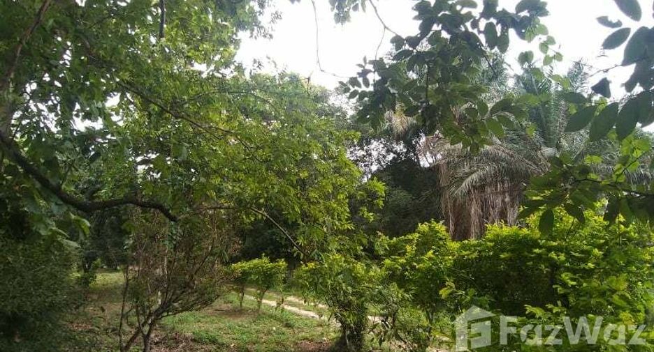 Продажа Участок в Mueang Chiang Mai, Чианг Маи