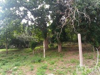 出售 土地 在 Mueang Chiang Mai, Chiang Mai