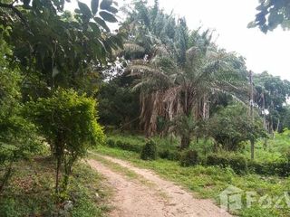 出售 土地 在 Mueang Chiang Mai, Chiang Mai