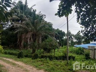 出售 土地 在 Mueang Chiang Mai, Chiang Mai