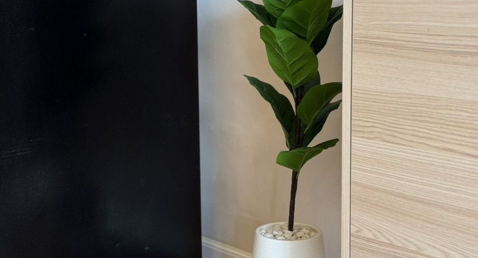 Wohnung zur Miete mit Studio in Jomtien, Pattaya