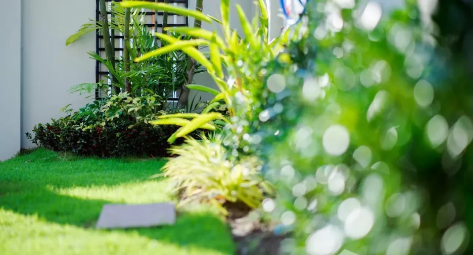 For rent 3 bedrooms villa in Hua Hin, Prachuap Khiri Khan