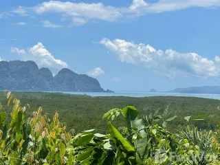 For sale land in Takua Thung, Phang Nga