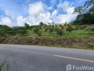 For sale land in Takua Thung, Phang Nga
