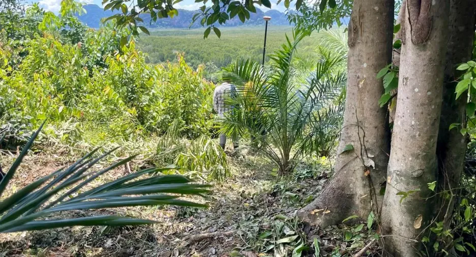 For sale land in Takua Thung, Phang Nga
