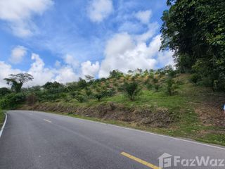 For sale land in Takua Thung, Phang Nga