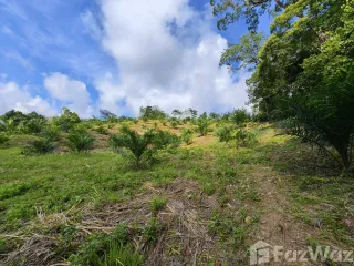 For sale land in Takua Thung, Phang Nga