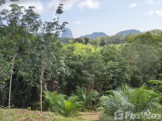 For sale land in Takua Thung, Phang Nga