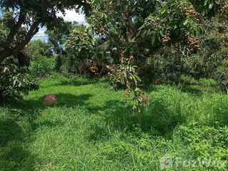 For sale land in San Pa Tong, Chiang Mai