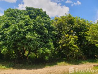 For sale land in San Pa Tong, Chiang Mai