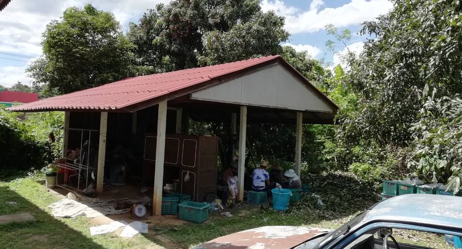 For sale land in San Pa Tong, Chiang Mai