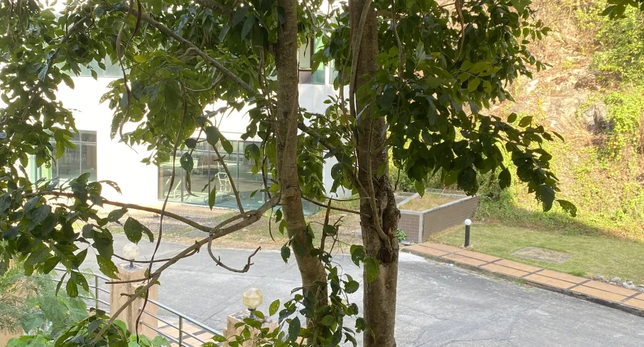 For sale 2 bedrooms condo in Mueang Phuket, Phuket