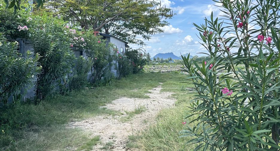 出售 土地 在 三百峰, 班武里府