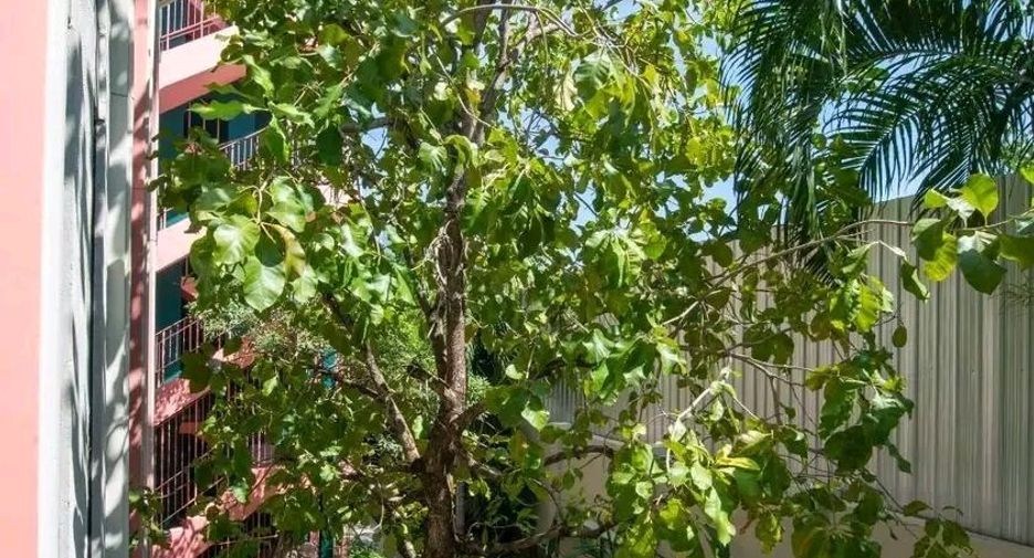 Wohnung zur Miete mit Studio in Hua Hin, Prachuap Khiri Khan