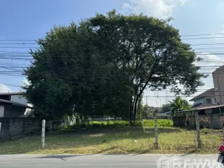 For sale land in San Sai, Chiang Mai