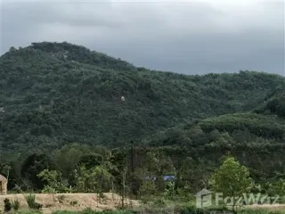 ขาย ที่ดิน ใน บ้านนา, นครนายก