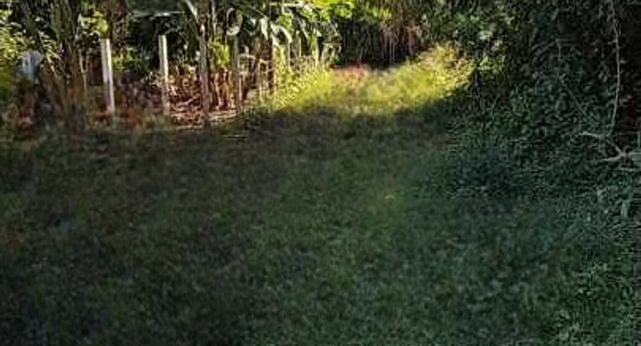 Terreno en venta en Chom Thong, Chiang Mai