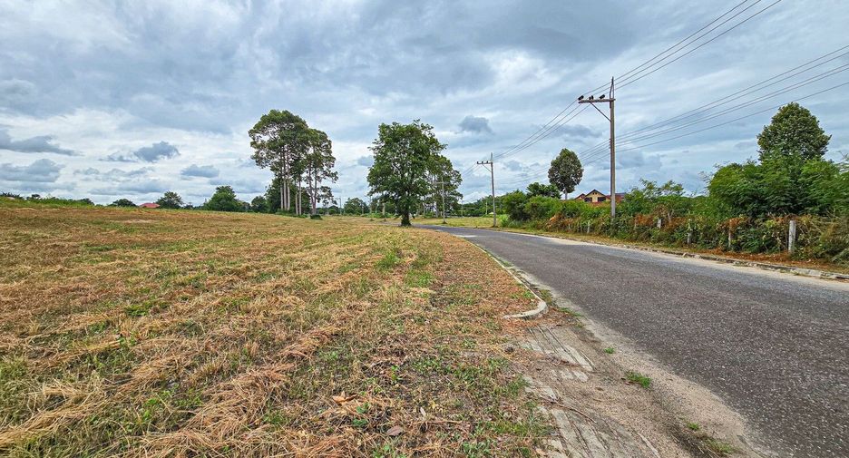 For sale land in Bang Lamung, Chonburi
