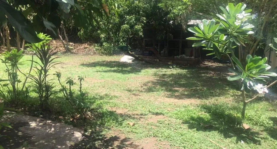 For sale 3 bedrooms house in Saraphi, Chiang Mai