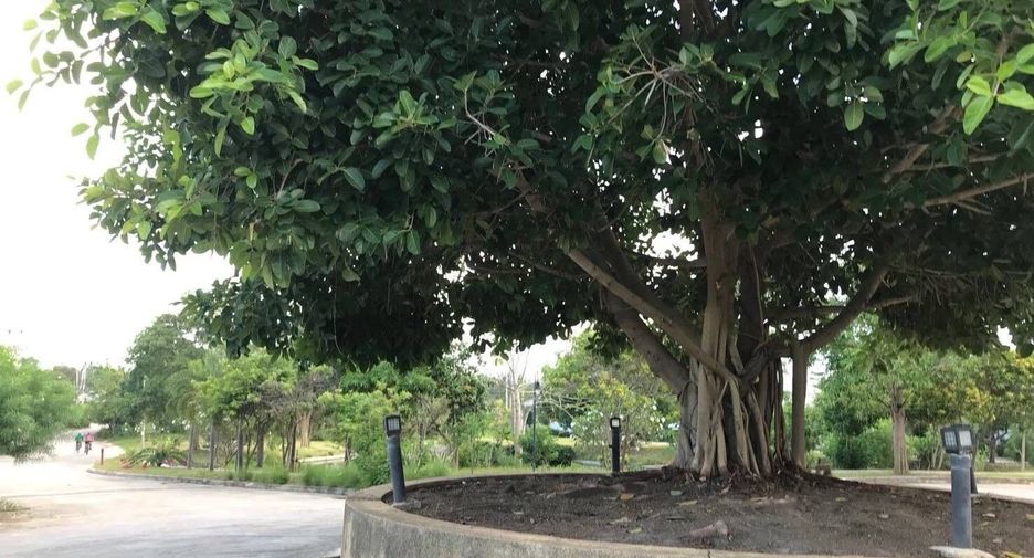 À vendre et à louer 2 chambres maison à Hua Hin, Prachuap Khiri Khan